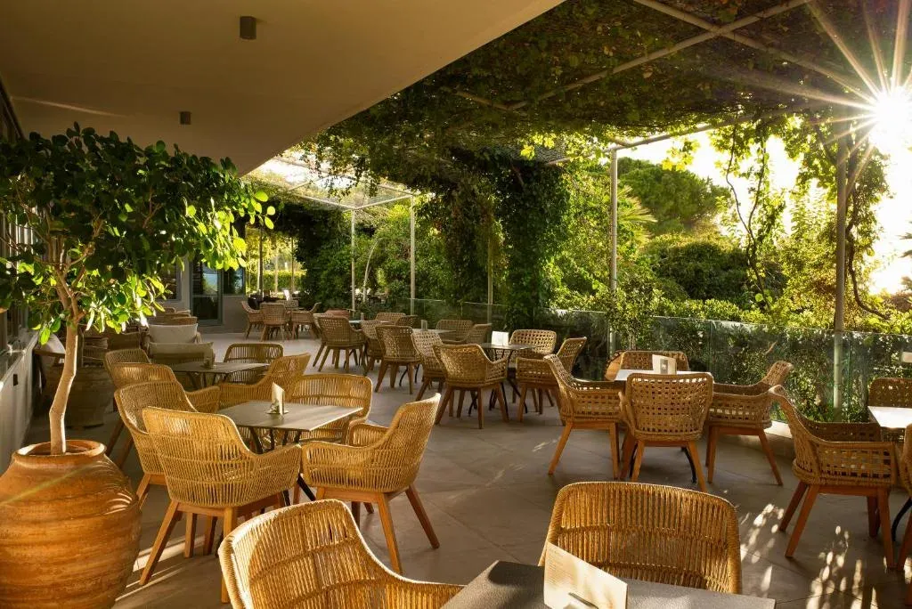 Mediterranee Hotel 2